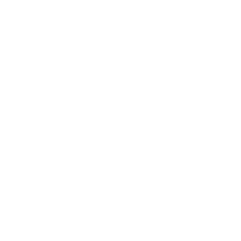 beach icon