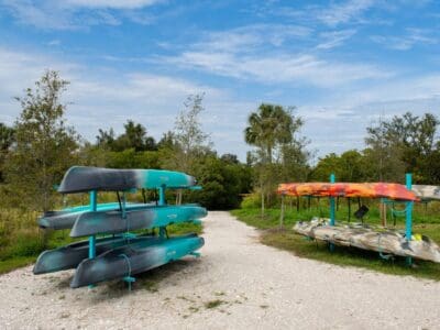 rack of kayaks