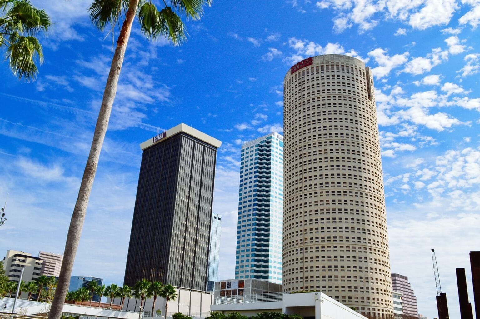 tampa bay